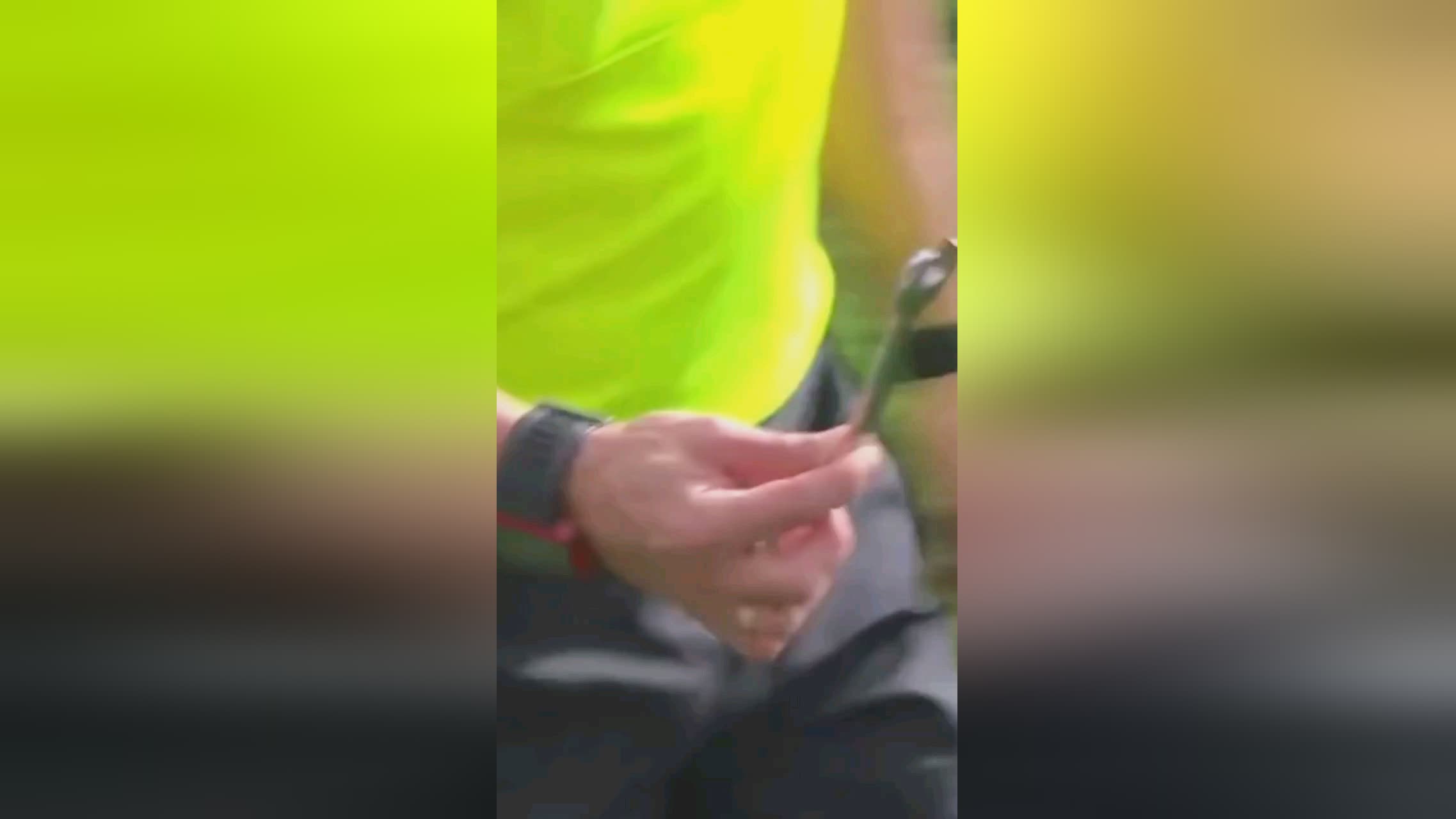 反映了约老